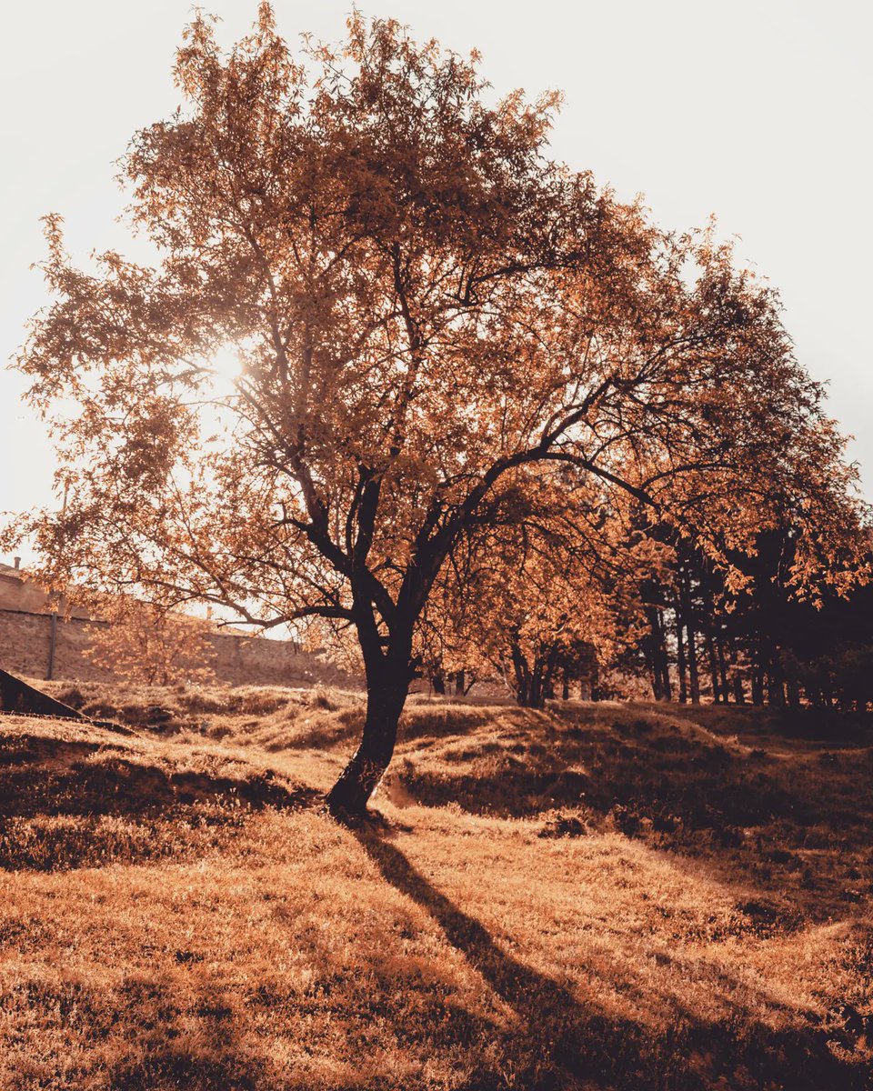 #ДоброУтро 🌥️⛅🌤️☀️🌤️⛅🌥️