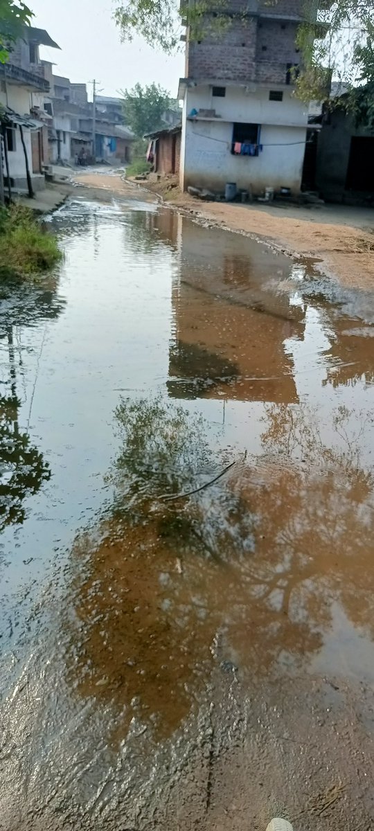 Memer_benudhar's tweet photo. @CollectorBgr 
This picture is of turekela village of bangomunda block. there are no any drain to discharge dirty water. therefore dirty water gathering on the road. so that people's facing Difficulty getting around and here created unhealthy environment. 
@BBangomunda 
@TigSDM https://t.co/b7RzFTr0XF