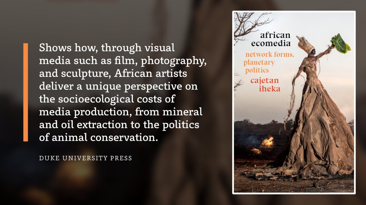 CAP African Studies Books tweet media