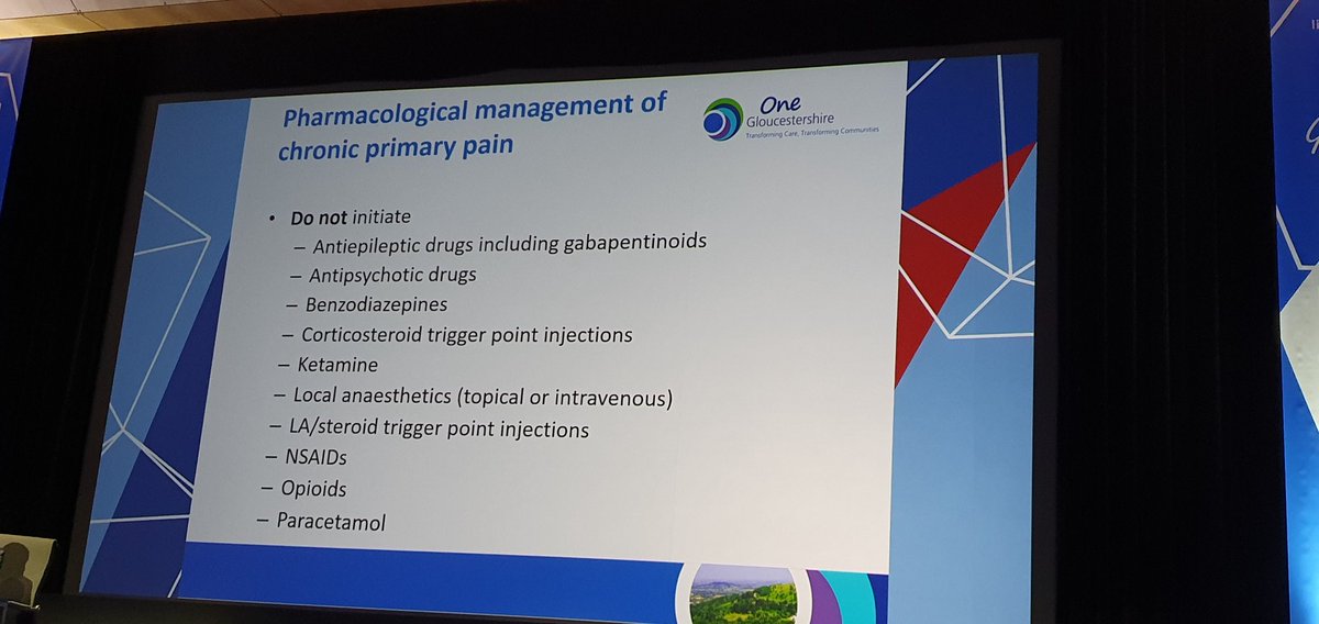 DrSuziNielsen's tweet photo. Substantial changes in pain medicine recommendations for chronic pain in the new NICE guidelines,  though Cathy Stannard emphasises that this *does not mean that patients current medicines should be ceased* #LxAddictions22 https://t.co/M781aVskAF