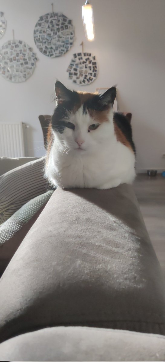 Thom Forthex tweet media