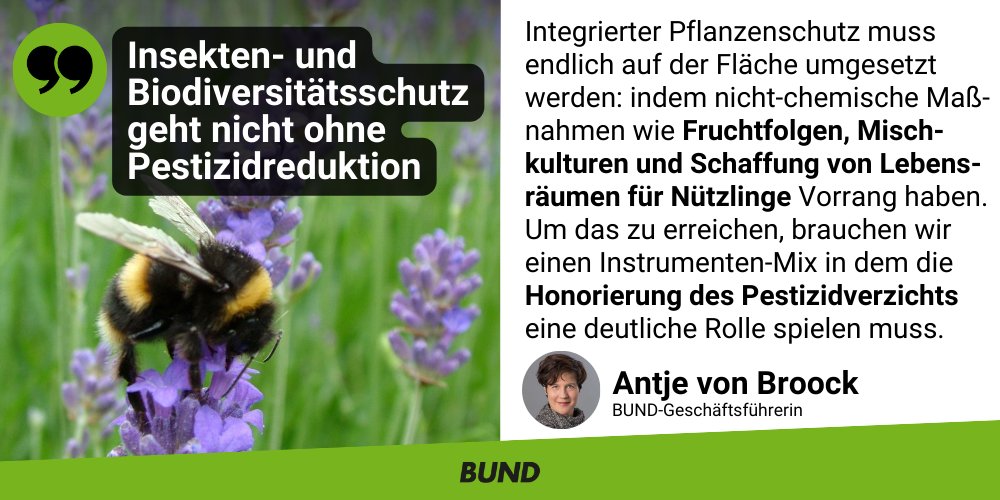 bund_net's tweet photo. Pflanzenschutz ohne #Pestizide? Ja! BUND-Studie stellt Praxis-Bsp. aus der #Landwirtschaft vor, wie Bäuerinnen u. Bauern bereits heute nicht-chemisch ihre Ackerkulturen schützen. Auch eingedenk entstehender Kosten u. Einspar-Optionen: https://t.co/cFqHcyf6Wu #Glyphosat #Insekten https://t.co/G3c4UgxnYp