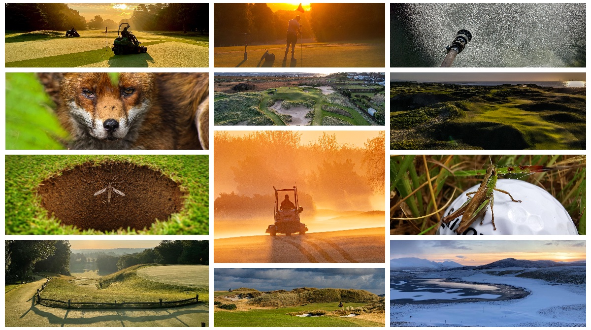 British & International Golf Greenkeepers Assn. tweet media