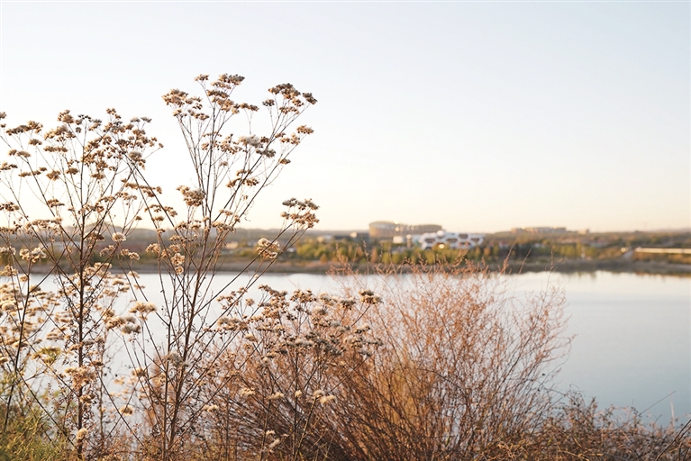 OrdosChina's tweet photo. 😜What's your city like in early #winter?
The Kangbashi district of #Ordos city is now embracing the chills of the last season of the year.
Join us and leave a picture of your city below! 👇#BeautifulOrdos https://t.co/Sgp1DYMo36