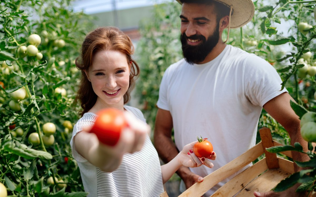 NextgardenNL's tweet photo. Nijmegen krijgt een winkel met alleen producten van lokale boeren. Een Landwinkel met fruit, zuivel en vlees afkomstig van boeren in de wijde omgeving van de stad. 

Lees het artikel van de Gelderlander hier
https://t.co/wRw5UEmBWx https://t.co/gSQACWS3P0
