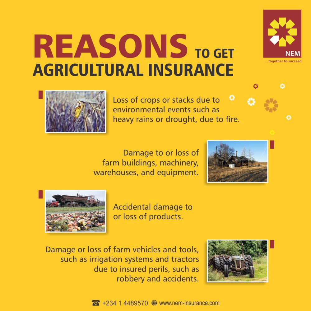 neminsuranceplc's tweet photo. When Protecting Your Farming Operation Matters NEM Insurance Plc Has You Covered
#agriculture #farming #agricinsurance #insurancepolicies #BeNEMSure https://t.co/U7Fikv9o70