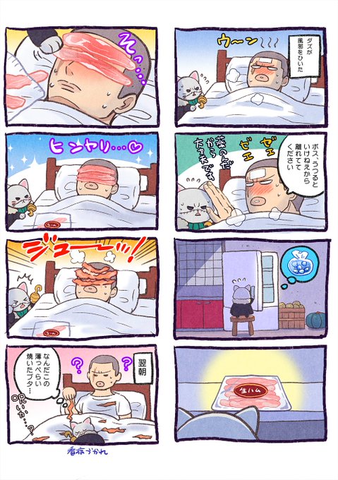 いい猫の日再放送🐱 