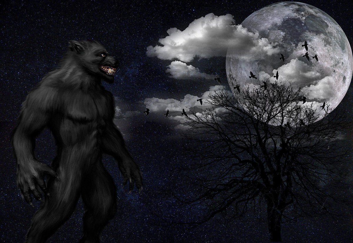LindaEastburn's tweet image. A real #helldog story
youtube.com/channel/UC64z-…