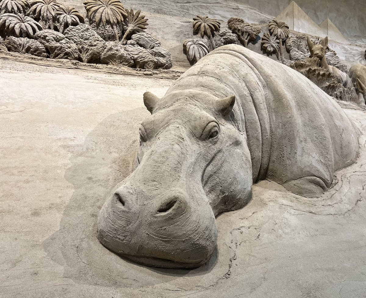 615_camp's tweet photo. 先日、すなび（砂の美術館）に行ってきました(ㆁωㆁ*)

このカバすごいッ🦛
こりゃもはや本物…

鳥取とてもいいところ🦀✨ https://t.co/frncnAwwOy