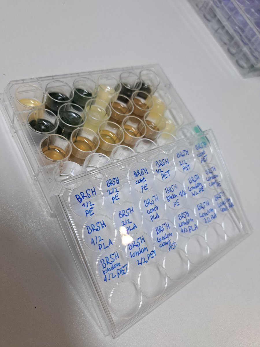United colours of Pseudomonas aeruginosa tailor made biofilms vs. PLA, PE and PET 🤩
<a href="/ivana_aleksic90/">Ivana Aleksic</a> @jijzarco <a href="/miplacebio/">miplacebio</a>