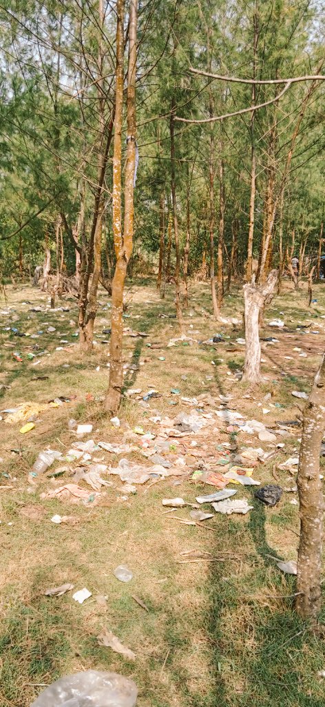 Neilanjanb's tweet photo. @WestBengalGovt @MamataOfficial @TourismBengal the other face of Tajpur beach. Litters left by picnickers. No intervention by Forest Department. https://t.co/GCum22Y5Re