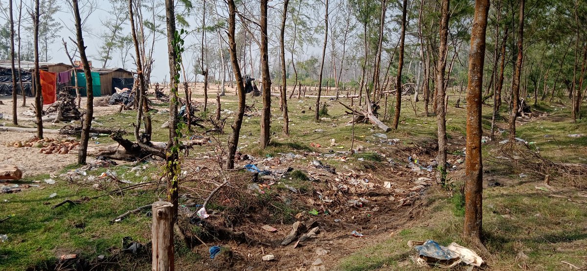Neilanjanb's tweet photo. @WestBengalGovt @MamataOfficial @TourismBengal the other face of Tajpur beach. Litters left by picnickers. No intervention by Forest Department. https://t.co/GCum22Y5Re