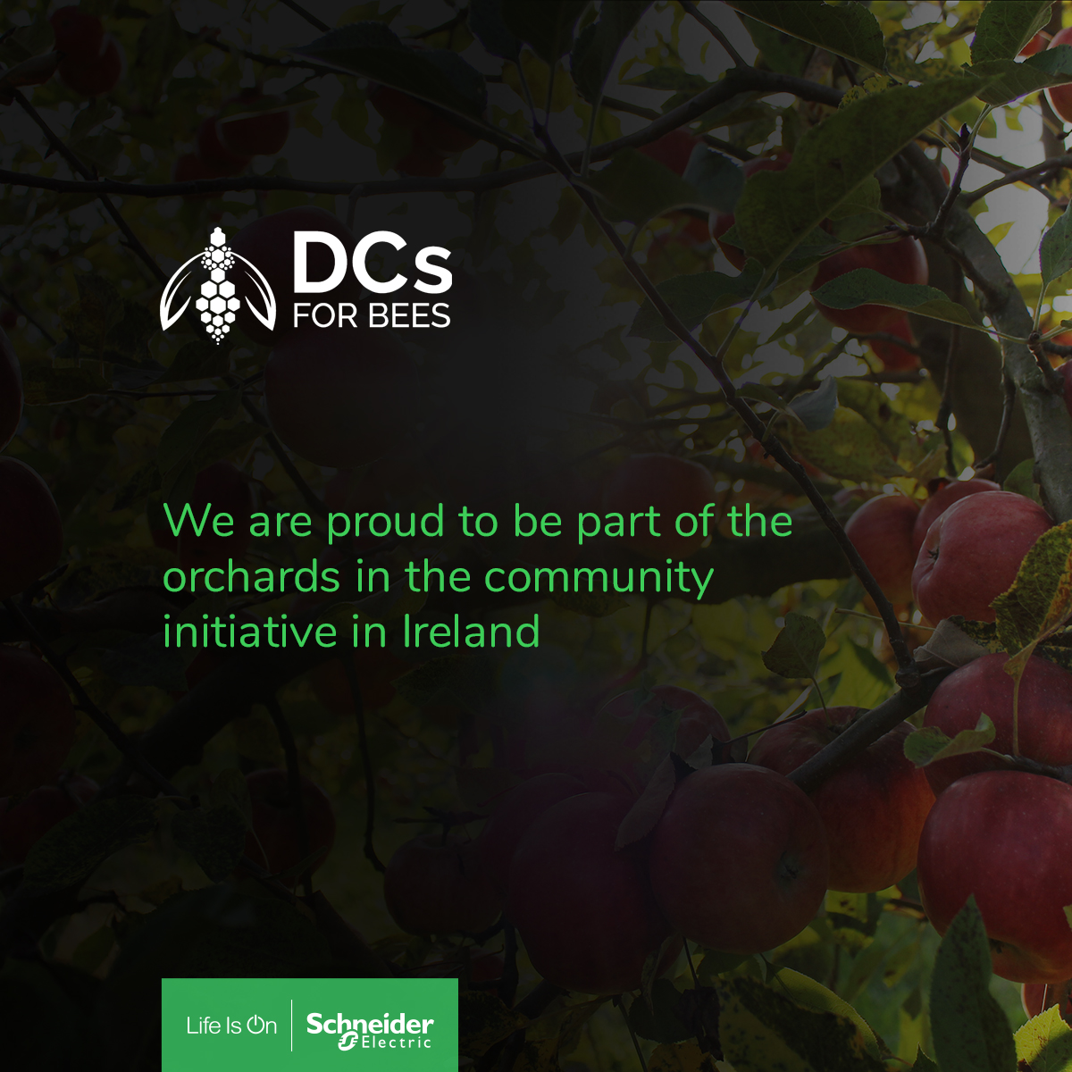 amie_se_uki's tweet photo. We are delighted to again be part of this year's #DCsforBees Orchards in the Community initiative, providing early food sources for our #pollinators. #SchneiderElectric has pledged an additional 1000 mixed fruit trees to be planted around Ireland. https://t.co/hMNmoSs2Mi https://t.co/kzjxuMr04T