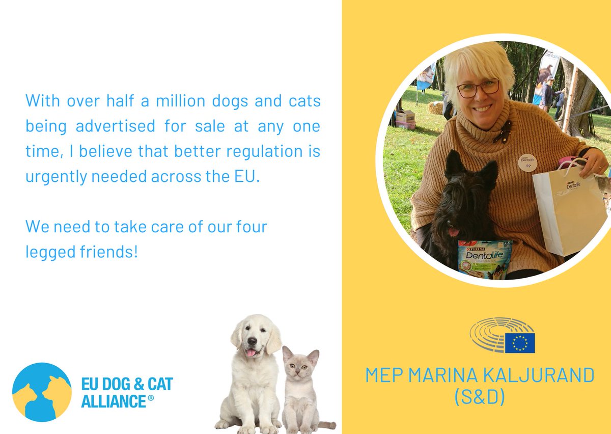 EUdogsandcats's tweet photo. Following on from our #PetsBehindTheScreen campaign to raise awareness of the reality behind many online adverts for dogs and cats, we are still calling for EU regulation to protect both animals and consumers. 

We appreciate the numerous MEPs that have helped in this effort. https://t.co/n4sD5DBV7K