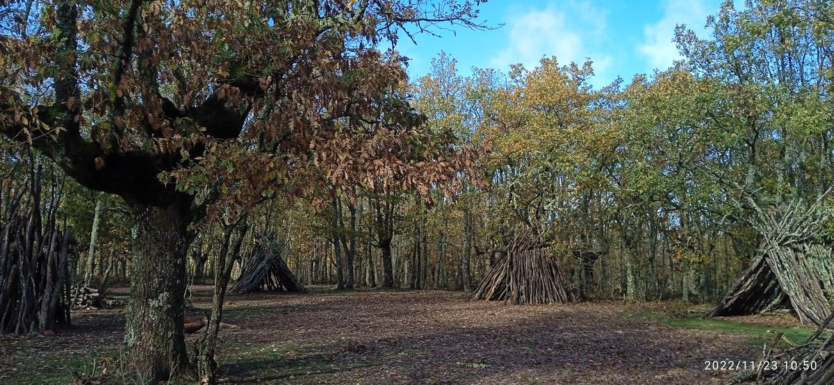 al salir el sol tras la lluvia el campamento paleolítico de la reserva de bisontes de Atapuerca está especialmente bonito. aprovecha que hago de guía hasta el 12 de diciembre para vivir un viaje a la prehistoria que curiosamente te lleva al futuro benigno.varillas@gmail.com