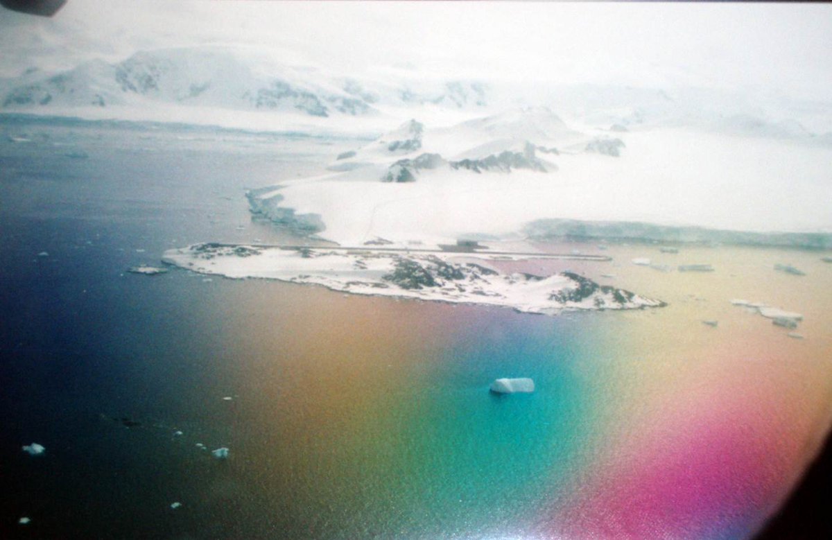 David Bailey (@davemarinebio) on Twitter photo We're advertising a couple of PhD studentships on landscape/seascape ecology in fish
Landscape scale effects on biodiversity in temperate and polar seas iapetus2.ac.uk/studentships/l…
findaphd.com/phds/project/s…
<a href="/BAS_News/">British Antarctic Survey 🐧</a> <a href="/SRUC/">SRUC</a> @marinescotland @UofG_SBOHVM <a href="/IapetusDTP/">IAPETUS DTP</a> We're advertising a couple of PhD studentships on landscape/seascape ecology in fish
Landscape scale effects on biodiversity in temperate and polar seas iapetus2.ac.uk/studentships/l…
findaphd.com/phds/project/s…
<a href="/BAS_News/">British Antarctic Survey 🐧</a> <a href="/SRUC/">SRUC</a> @marinescotland @UofG_SBOHVM <a href="/IapetusDTP/">IAPETUS DTP</a>