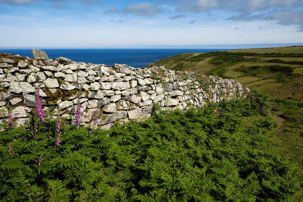 photogregmartin's tweet photo. Some Cornish hedges in west Cornwall are estimated to be 4,000 years old. Meanwhile, National Highways has admitted that Cornish hedges are collapsing just months after being erected as part of the £330 million A30 dualling scheme because they did not follow 'design guidelines'. https://t.co/wGM3Js1y8U