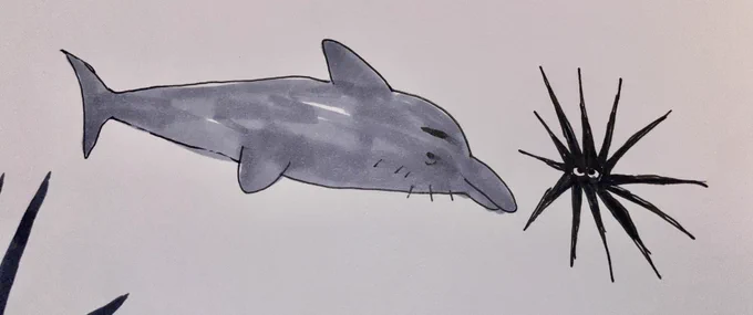 this is sea urchin and his friend Greg (Greg is bi and sea urchin is kind of okay with it) 