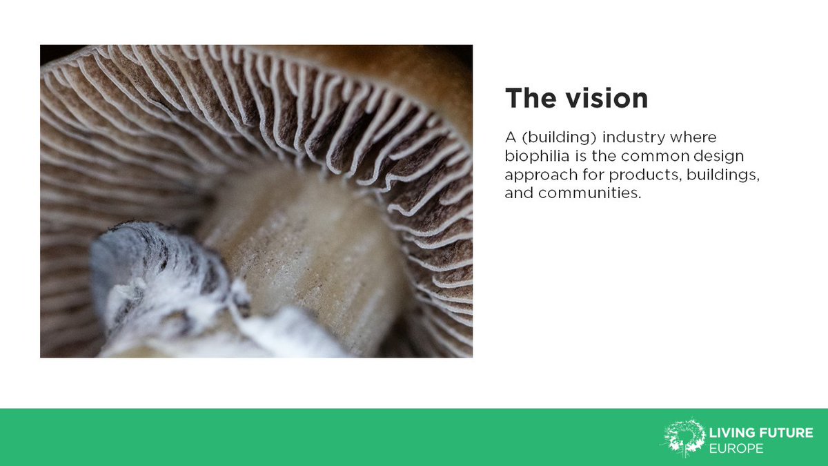 LFEurope's tweet photo. The Biophilic Society is born 🌿💙 
Living Future Europe and a group of biophilic design lovers created a living system and a virtual space to promote the culture of biophilia – the Biophilic Society. Read the full article here
https://t.co/5uZGoKM5Tw
#BiophilicSociety #Biophilia https://t.co/JMzrt7zOSn