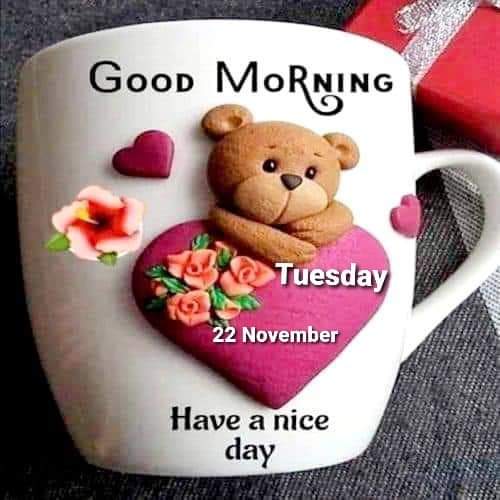tuggied's tweet photo. @Chiideraa___ https://t.co/GLCNrRgWoR