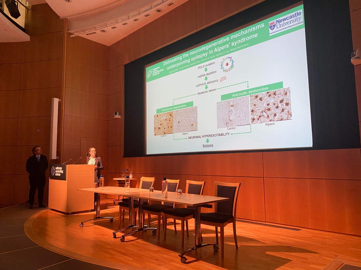 Laura Alexandra Smith tweet media