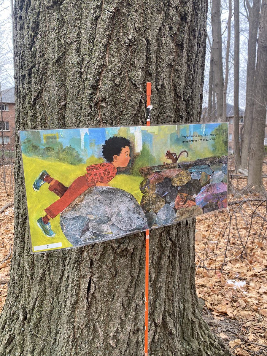 lookintonature's tweet photo. New story journey in the forest this week! As our class learns more about poetry “Daniel Finds A Peom” by Micha Archer was a perfect fit. 
Thank you @SwanLakeOE for lending us this beautiful story. 📚💚
#storyjourney #bookwalks #readingoutside #literacyoutside https://t.co/vBmkGE9hgy