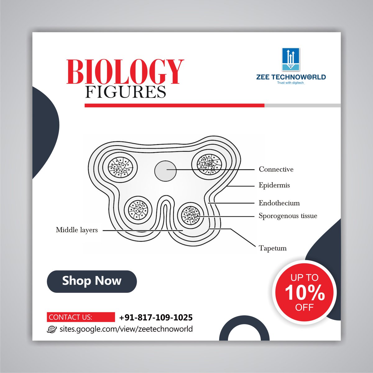 zeetechnoworld's tweet photo. Biology-labeled figures.

Visit us: https://t.co/7tjEXpnm33

Call us: +91 81710 91025

#graphicdesign #diagrams #biologyfigures #sciencedesign #digitaldiagram #ArtFigures #PublicationDesign #publisher #publishinghouse #drawingart #digitech #contentwriting #visualart #artcolors https://t.co/IeeYjy19yl