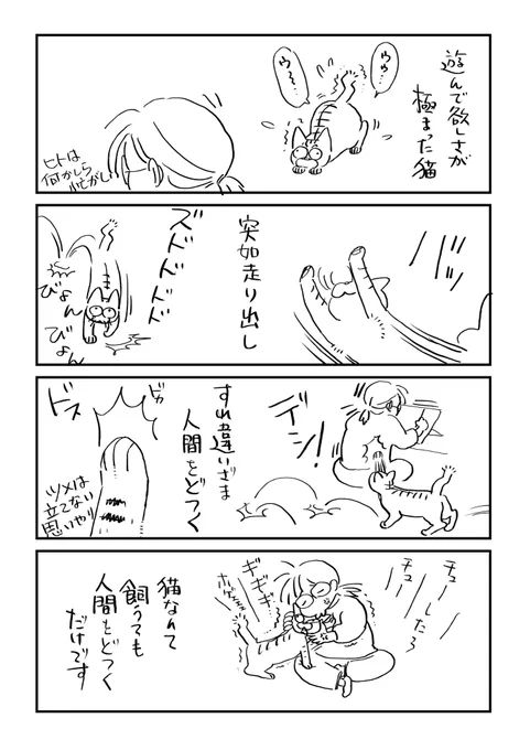 雑日記
もう毎日のようにどつきまわしてくるんですよ 