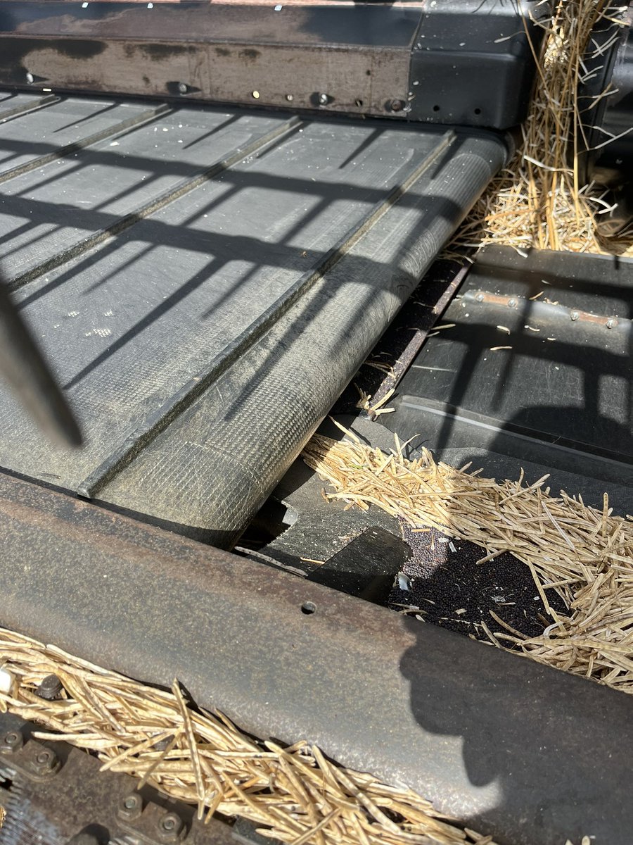 Tyler Nelson tweet media