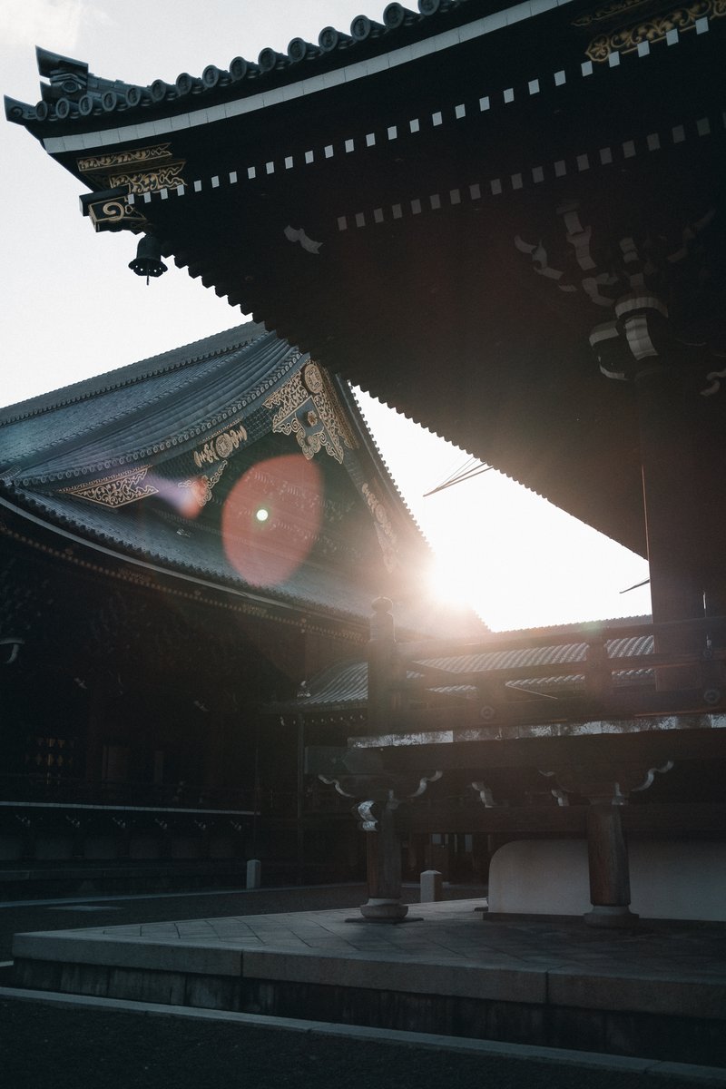 taromoberly's tweet photo. caught staring directly into the sun again https://t.co/DSd11ddU9C