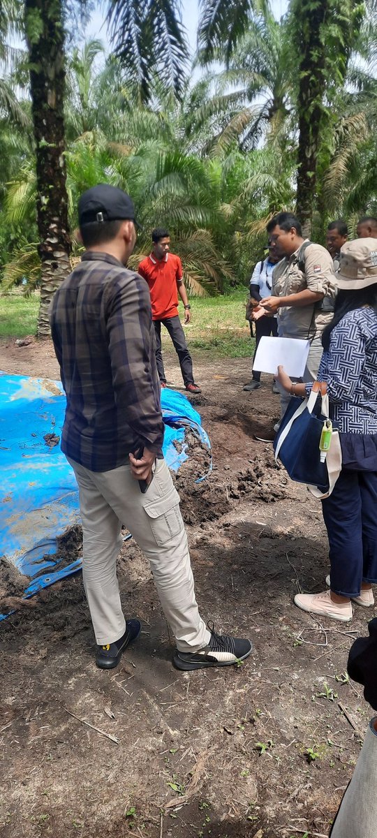 SNVIndonesia's tweet photo. As part of the monitoring evaluation agenda, the Monitoring Team also visited #demonstrationplot, #agroforestry nursery and the organic composting currently under construction https://t.co/PyOE4waBnV