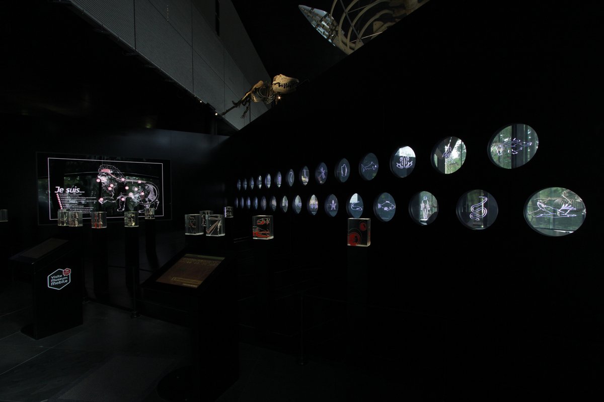 Mathilde Thouron tweet media