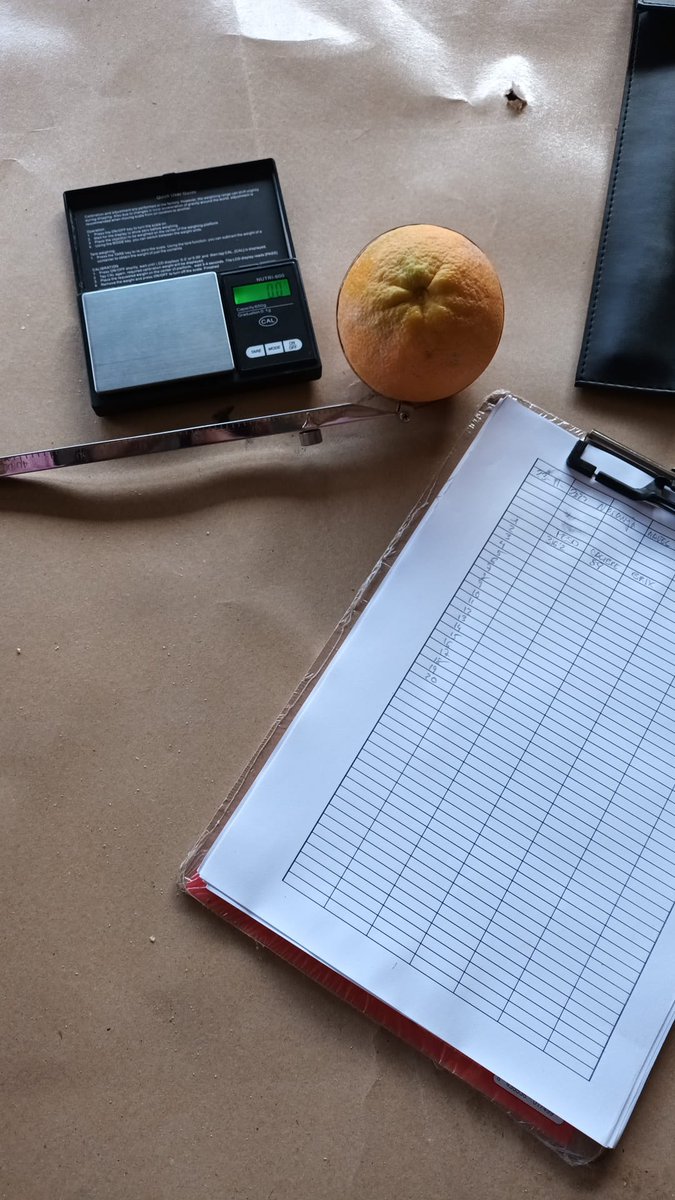 BioCAB_es's tweet photo. Los número demuestran los buenos resultados... #agricultura #agricultores 

Para más información: tecnicos@biocab.es https://t.co/7bkO8LfCnh