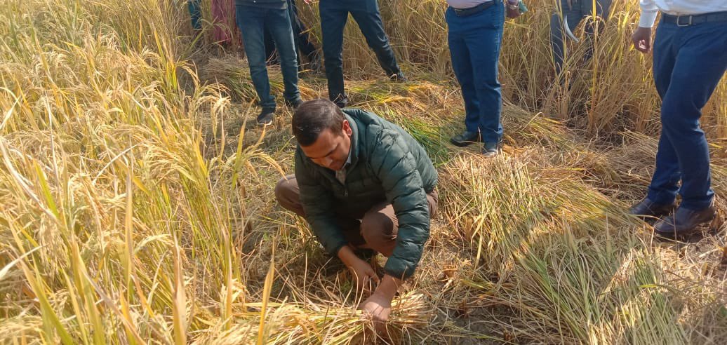 PmfbyUp's tweet photo. जिलाधिकारी सोनभद्र श्री चंद्र विजय सिंह द्वारा तहसील राबर्ट्सगंज के ब्लॉक राबर्टसगंज में क्रॉप कटिंग प्रयोग कराया गया।
#PMFBY #PMFBYUP #PMFBY4FARMERS #CCE #CropCuttingExperiment
@pmfby @spshahibjp @BaldevAulakh @myogiadityanath https://t.co/N8x0Zxjj7F