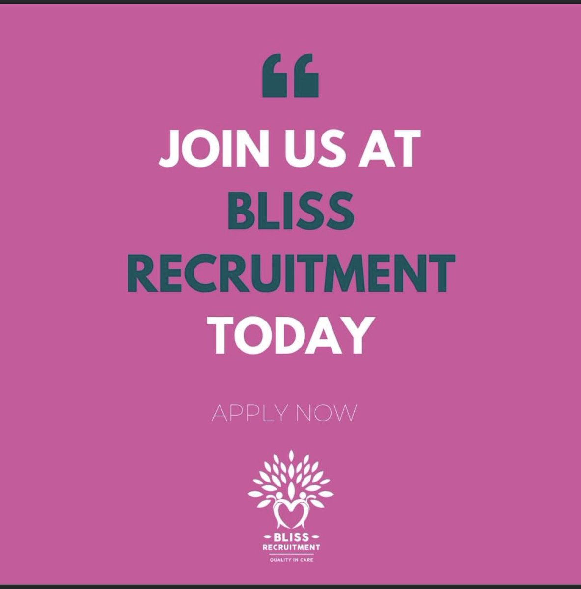 Bliss Recruitment Ltd tweet media