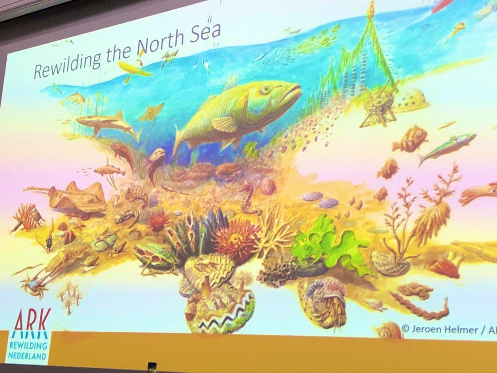 @ ARK Natuur creating opportunities for the private sector to build #rewilding initiatives into their business models is innovative and necessary. The transformation needed to #BringNatureBack requires participation from all sectors of society @ZSLScience #SeascapeSymposium