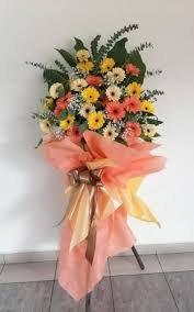 FrostysFlowers's tweet photo. Spring is almost here!
Get this years monthly subscription early and arrive home to fresh flowers right on your doorstep🌸 https://t.co/ZZu5SA9nAQ