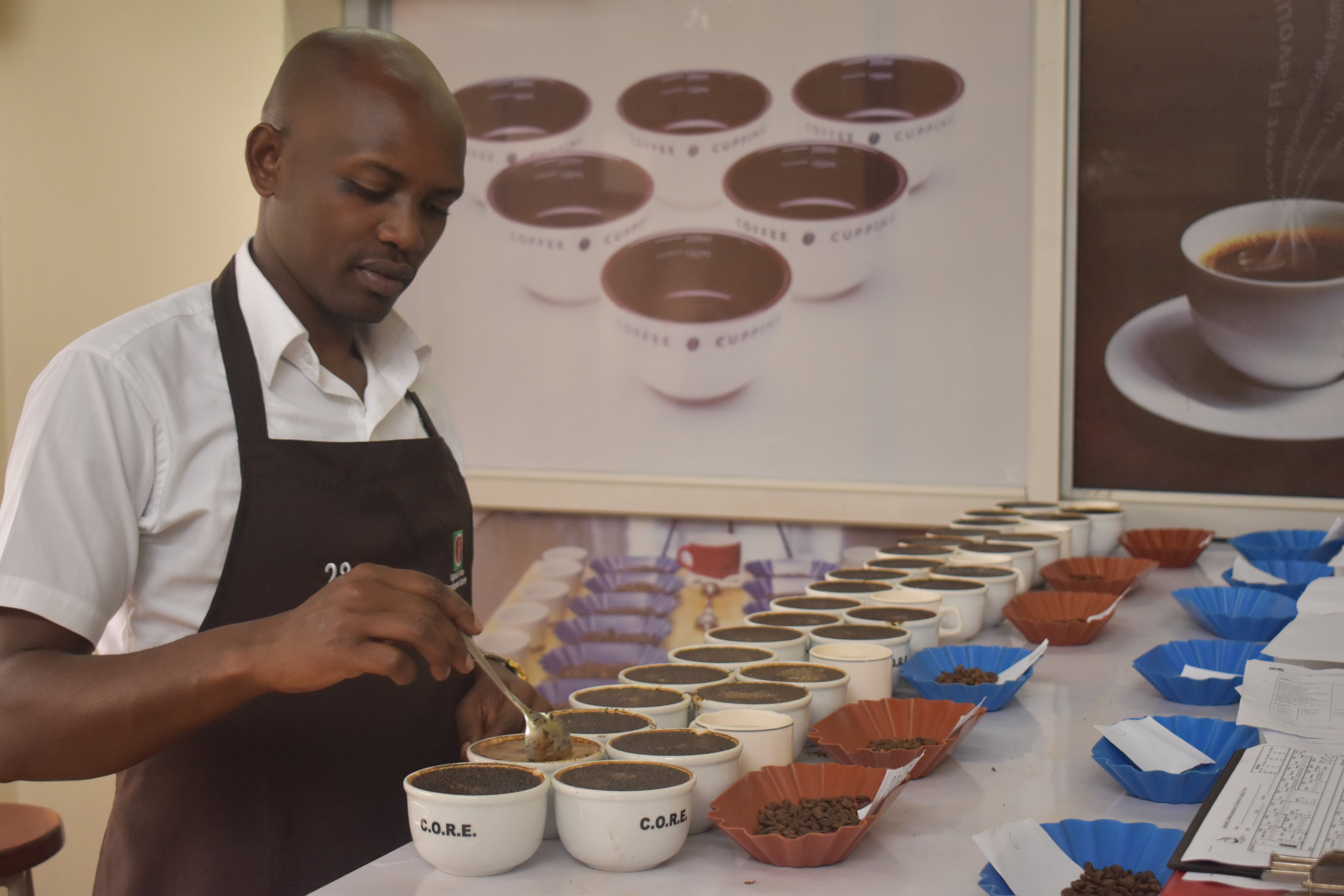 Uganda Coffee Development Authority on Twitter "Coffee exports in October 2022 amounted to