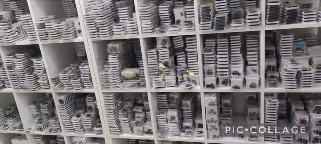 ChmLTh1's tweet image. Hi, you are looking for a supplier, I am an eyelash factory in Vietnam, we specialize in producing high-quality handmade Promade fans, do you want to check the quality of our eyelashes?