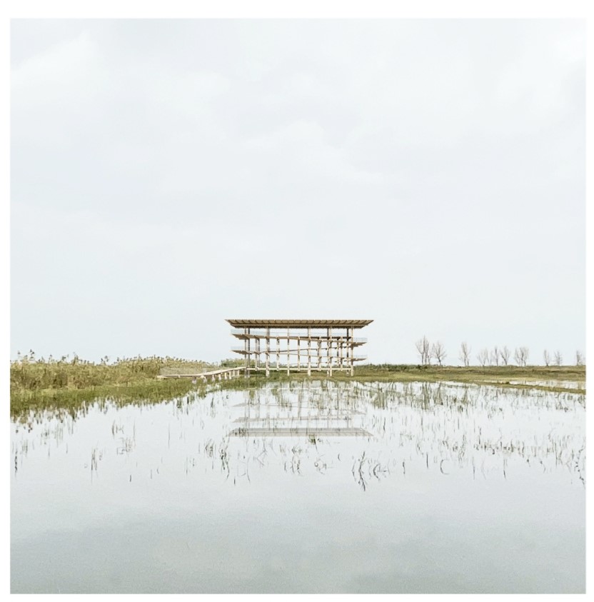 🥇MUSCLERA VERTICAL, és la proposta guanyadora del concurs d’idees per dissenyar un mirador a la bassa del Canal Vell, al #PNDeltaEbre. 
ℹ Van participar 12 equips: 5 de #TerresdelEbre, 5 de Barcelona, 1 de Girona i 1 de Mallorca.
<a href="/COAC_Ebre/">COAC Demarcació de l'Ebre</a> @aparelladors_ebre <a href="/TurismeDeltebre/">Descobreix Deltebre</a>