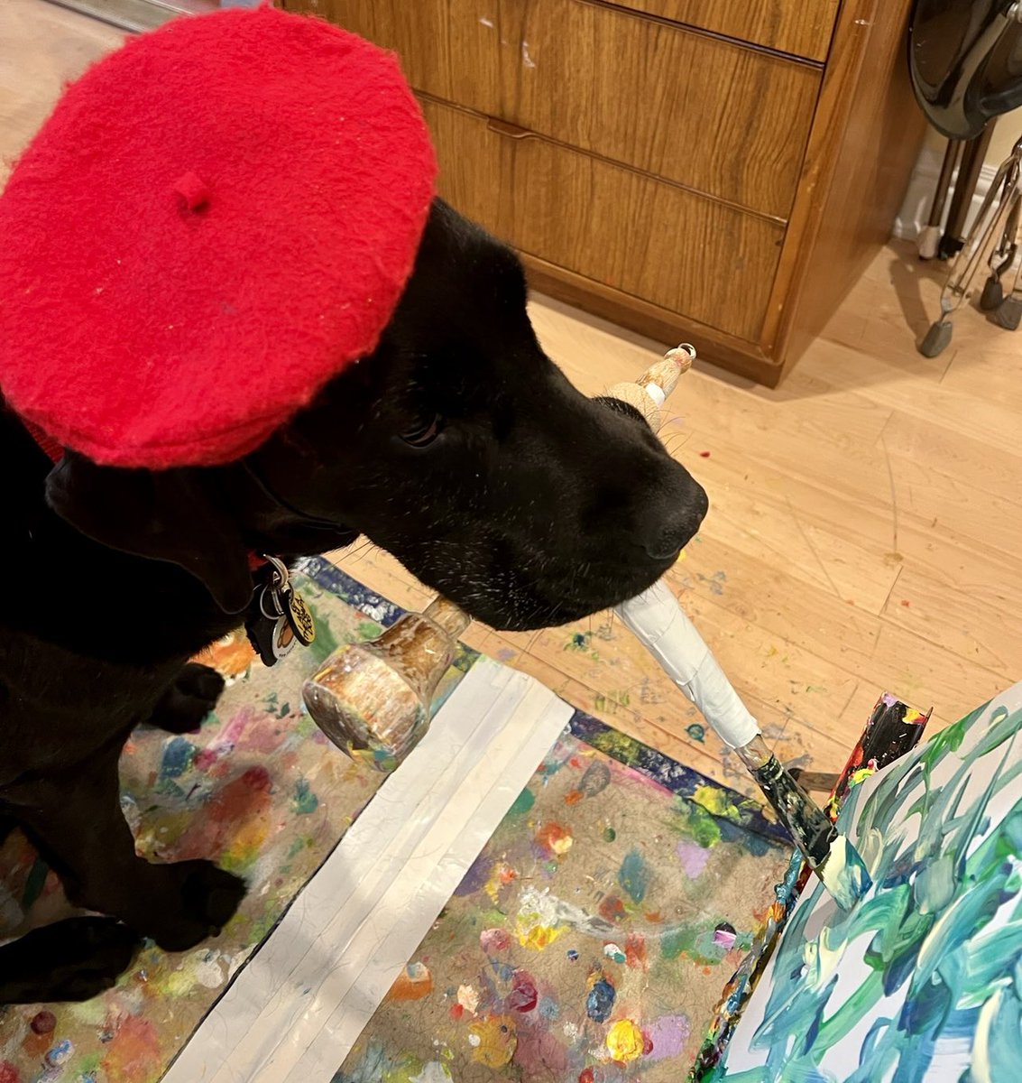 yayatomdagger3's tweet photo. Dagger DogVinci's message of the day: "If you're always trying to be normal you will never know how amazing you can be." ~ Maya Angelou

Friendly reminder to vote for me. Thanks!!! xoxo Dagger II aka DogVinci
https://t.co/9MAJqS8lbc https://t.co/OikP365EJ0