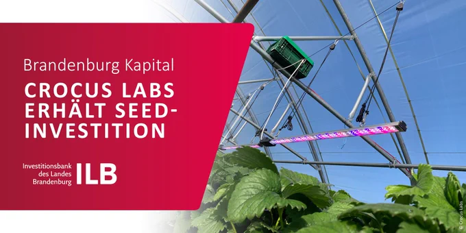 Die LED-Beleuchtungstechnologie der Crocus Labs in einem Gewächshaus Text: Brandenburg Kapital Crocus Labs erhält Seed-Investition