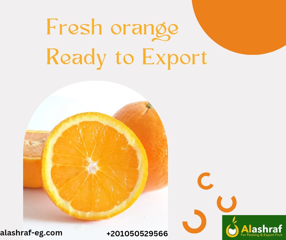 Alashrafgroup20's tweet photo. The Egyptian orange season is about to start 😉🍊
Prepare your specifications and orders to start soon 🍊🍊🍊

https://t.co/lfhTe22RU0
Wafaa: +21050529566 https://t.co/j3xqmifKmE