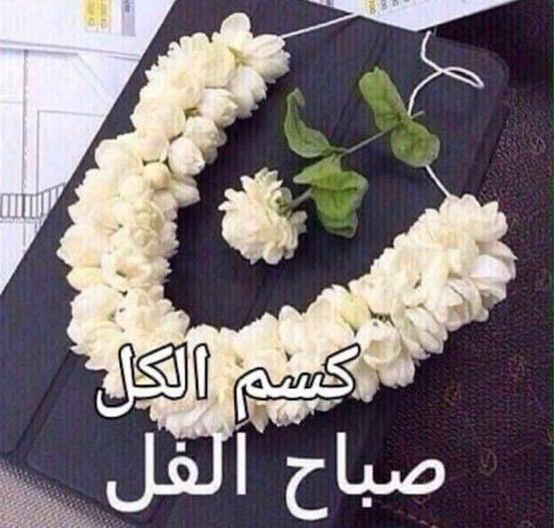 msnaxi's tweet photo. https://t.co/Tp8EvBhMta