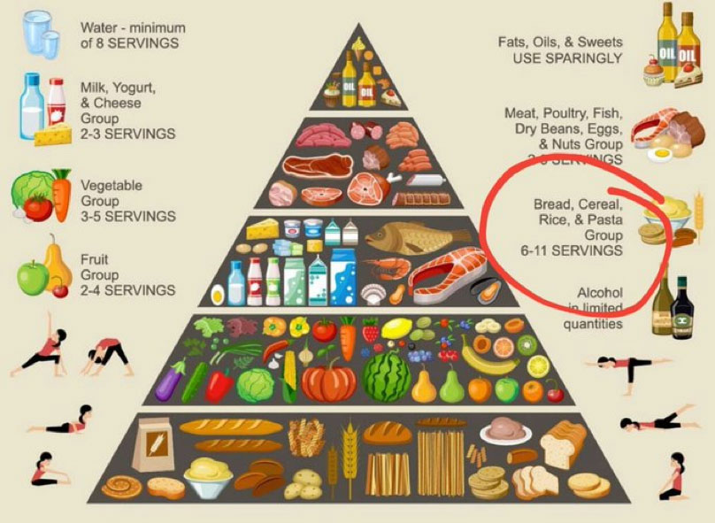 danmugore's tweet photo. Struggling with weight? 

Forget everything you were taught at school, precisely the FOOD PYRAMID🔽! It's a SCAM. 

FLIP the food pyramid and "eat upside-down". https://t.co/7pYCUoWF4O