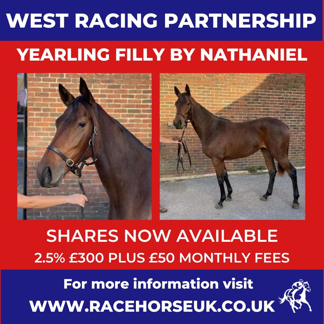 Racehorse UK tweet media