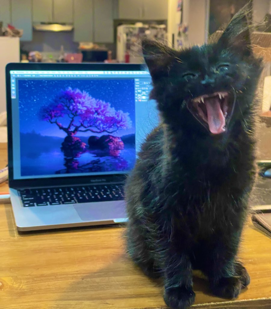 realjasonmatias's tweet photo. Trees of Peace is dropping Monday on @jpgstoreNFT - I started working on this when Fury was this smoll 🤏🏼

I’m flying back from a month in Europe today. I wonder how big she’s gotten. 

Show me your cute #cats 🐱 👇🏽 
9 hours of smiles please ✈️ 

#CatsOfTwitter #cardano https://t.co/nP48MY1yOu