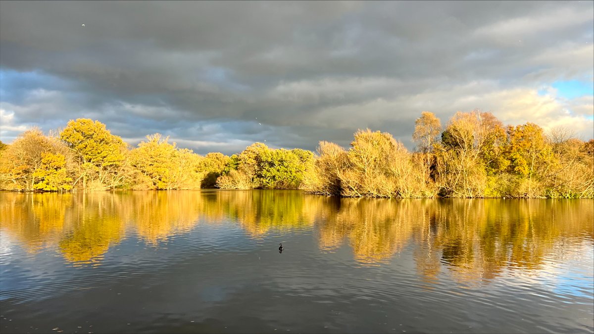 CoLEppingForest's tweet photo. One of our #EppingForest staff happened to be at #ConnaughtWater when the beautiful rose-tinted golden hour struck yesterday.   If you have photographs of the ancient woodland this autumn, please do share with us using #EppingForestAutumn22
Get snapping📷! https://t.co/1UEkoSwLXi