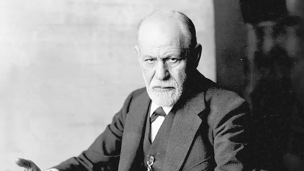 “Se davvero la sofferenza impartisse lezioni, il mondo sarebbe popolato da soli saggi. E invece il dolore non ha nulla da insegnare a chi non trova il coraggio e la forza di starlo ad ascoltare.”
Sigmund Freud