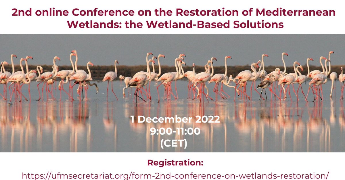 🌱🌾Restoring #wetlands as #Naturebasedsolutions!! Join @MedWet @UfM... and @ETC_UMA featuring the @InterregEuroMED @MEDCommunity3_2 #ONEMED #MADEinMED 
To attend👉✍️ bit.ly/Registration_W…
bit.ly/Agenda_Wetland…